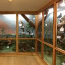 Diorama mit Vögeln der regionalen Flora und Fauna